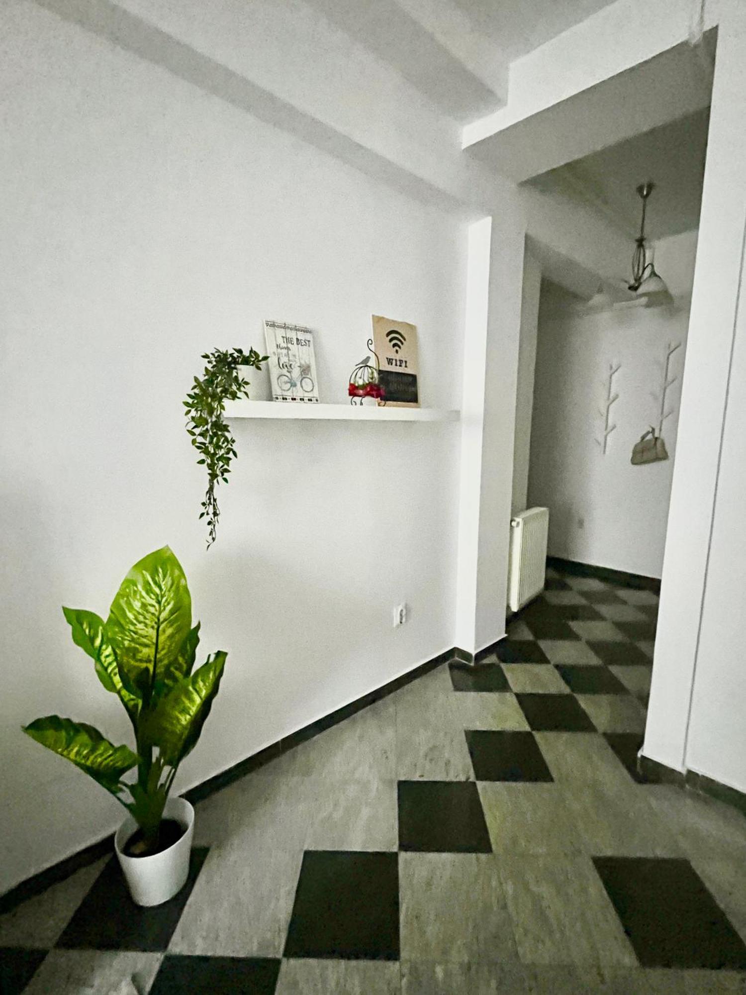 Victoriei Spacious Studio Bukarest Kültér fotó