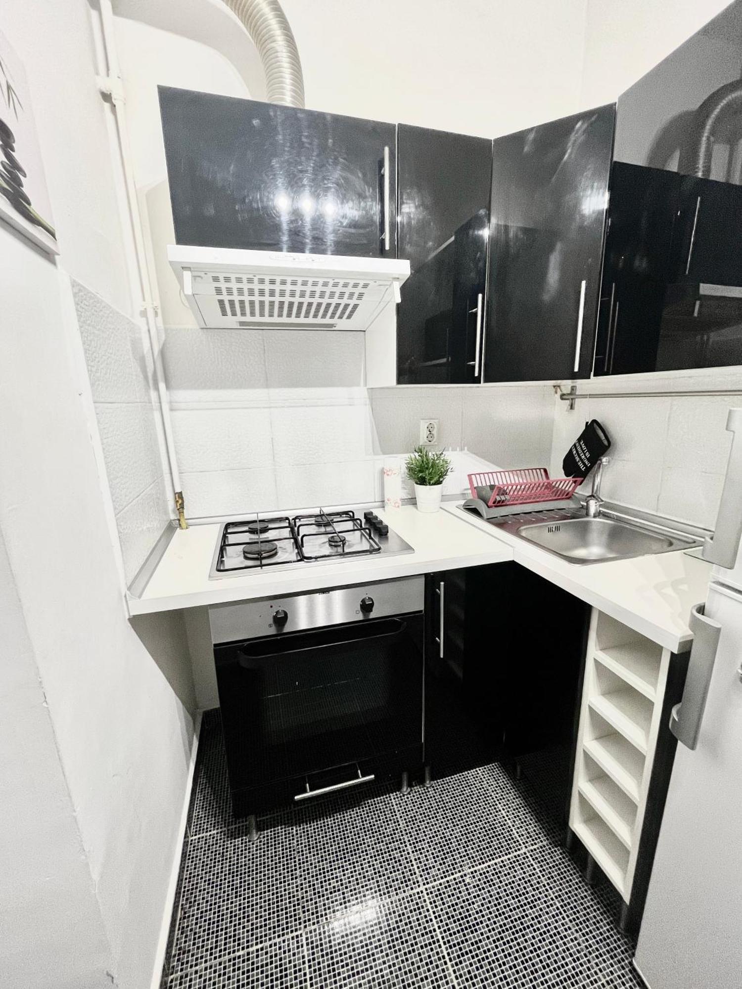 Victoriei Spacious Studio Bukarest Kültér fotó