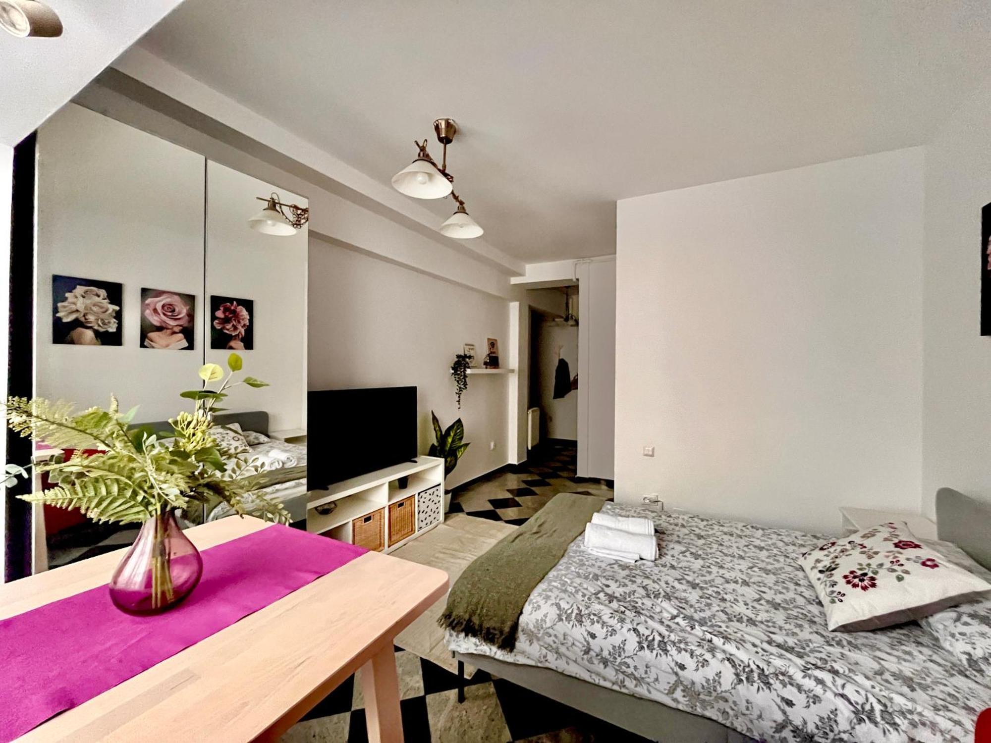 Victoriei Spacious Studio Bukarest Kültér fotó